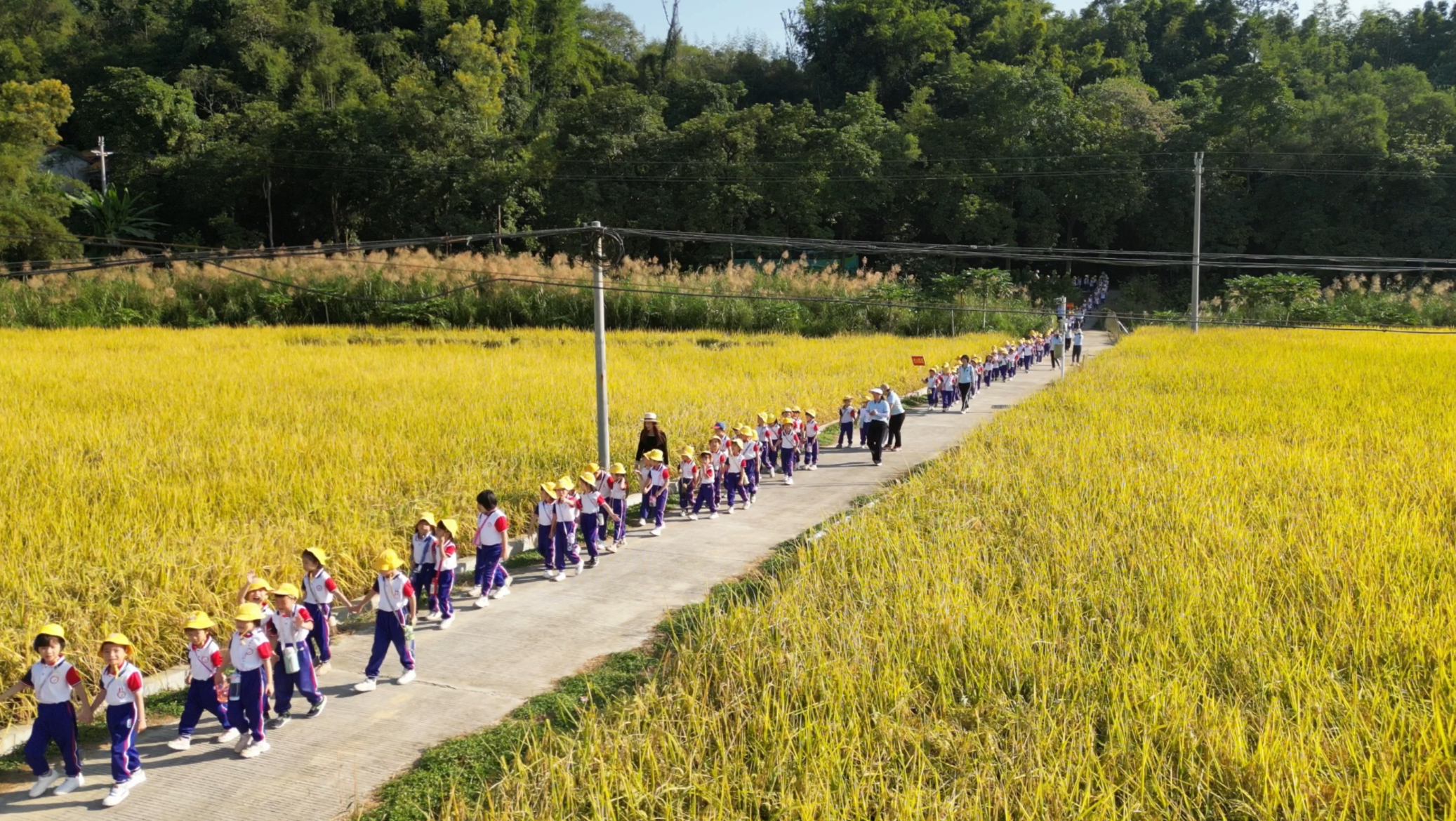 郁南縣永紅幼兒園開展2024年走進農村生活體驗活動2.jpg